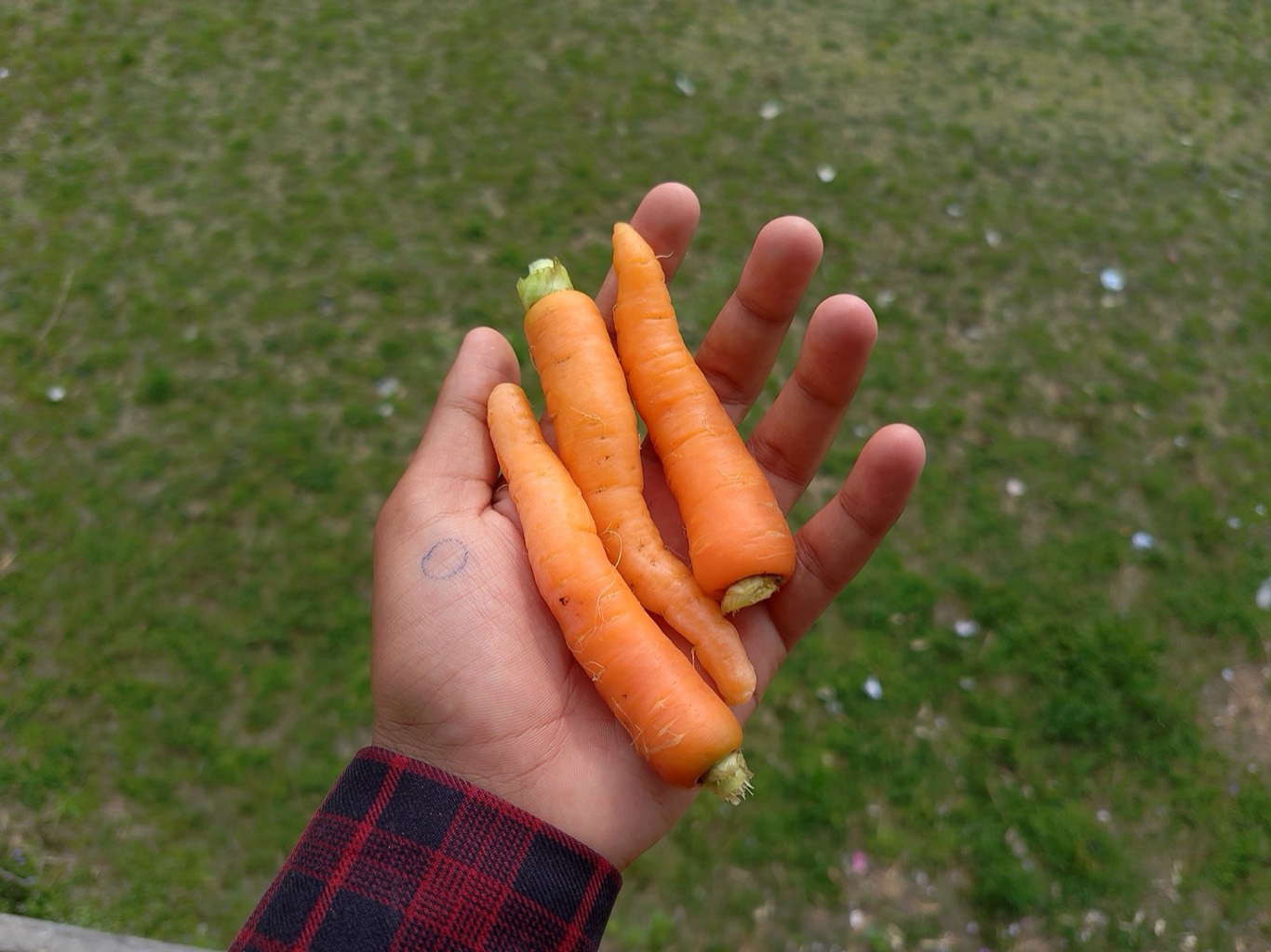 Atelier de comparaison d'outils IA